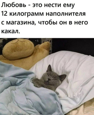 Комментарий с изображением на AdMe.Media