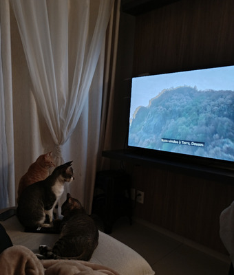 Комментарий с изображением на AdMe.Media