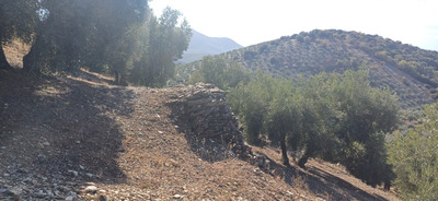 Комментарий с изображением на AdMe.Media