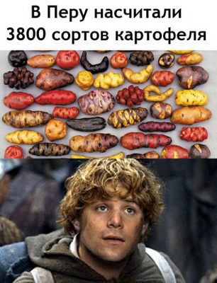 Комментарий с изображением на AdMe.Media