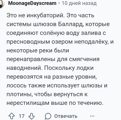 Комментарий с изображением на AdMe.Media