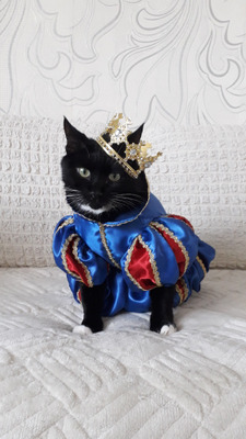 Комментарий с изображением на AdMe.Media