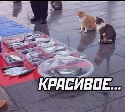 Комментарий с изображением на AdMe.Media