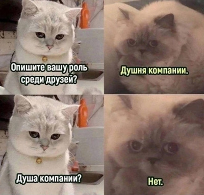 Комментарий с изображением на AdMe.Media