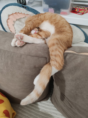 Комментарий с изображением на AdMe.Media