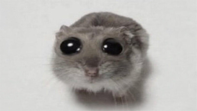 Комментарий с изображением на AdMe.Media