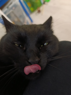 Комментарий с изображением на AdMe.Media