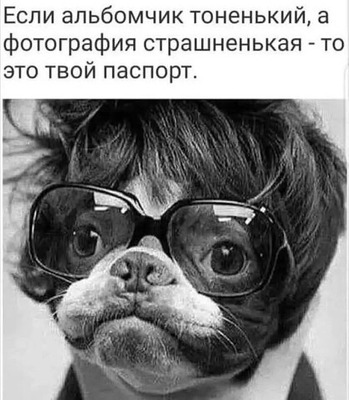 Комментарий с изображением на AdMe.Media