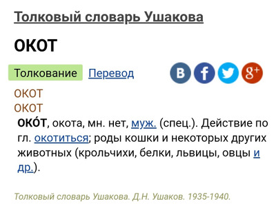 Комментарий с изображением на AdMe.Media