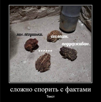 Комментарий с изображением на AdMe.Media