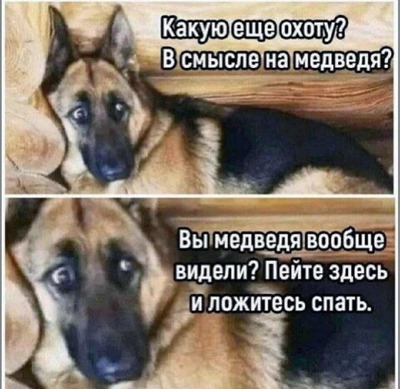 Комментарий с изображением на AdMe.Media