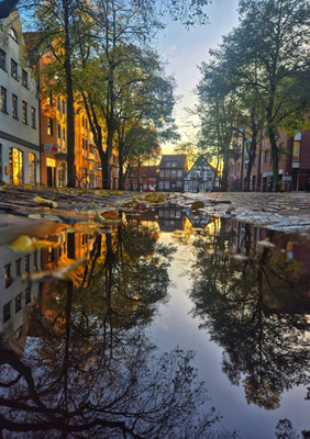 Комментарий с изображением на AdMe.Media