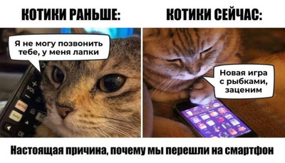 Комментарий с изображением на AdMe.Media