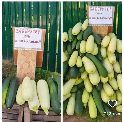 Комментарий с изображением на AdMe.Media