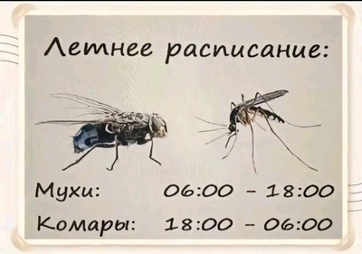 Комментарий с изображением на AdMe.Media