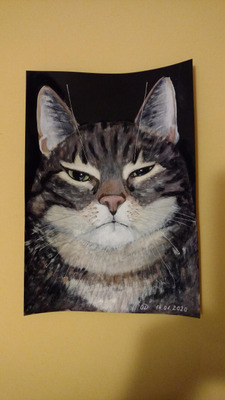 Комментарий с изображением на AdMe.Media