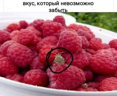 Комментарий с изображением на AdMe.Media