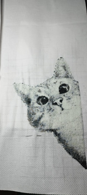 Комментарий с изображением на AdMe.Media