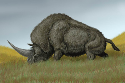 Комментарий с изображением на AdMe.Media