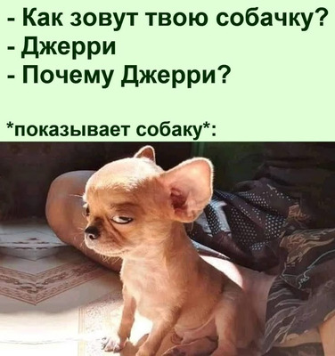 Комментарий с изображением на AdMe.Media
