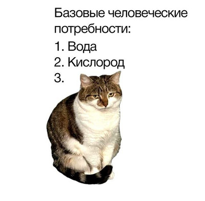 Комментарий с изображением на AdMe.Media