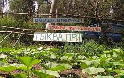 Комментарий с изображением на AdMe.Media
