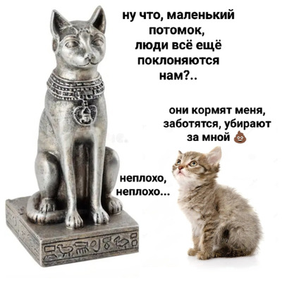Комментарий с изображением на AdMe.Media