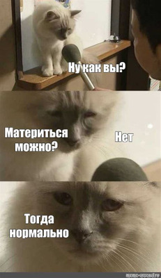 Комментарий с изображением на AdMe.Media