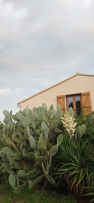 Комментарий с изображением на AdMe.Media