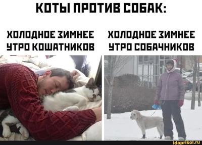 Комментарий с изображением на AdMe.Media