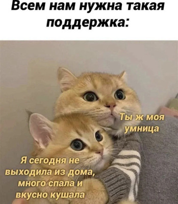 Комментарий с изображением на AdMe.Media