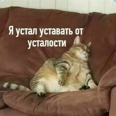 Комментарий с изображением на AdMe.Media