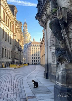 Комментарий с изображением на AdMe.Media