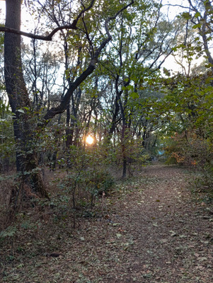 Комментарий с изображением на AdMe.Media