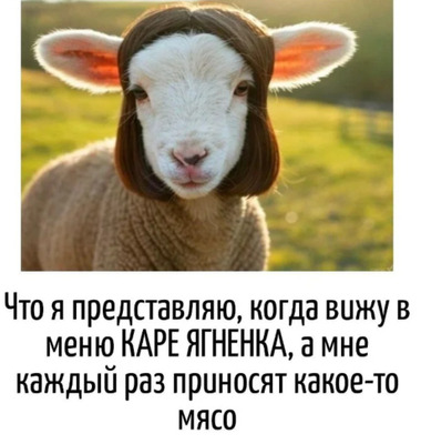 Комментарий с изображением на AdMe.Media