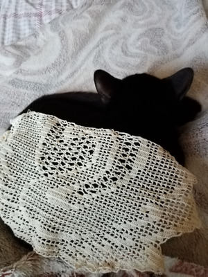 Комментарий с изображением на AdMe.Media