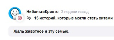 Комментарий с изображением на AdMe.Media