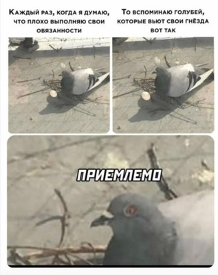 Комментарий с изображением на AdMe.Media