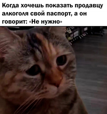 Комментарий с изображением на AdMe.Media