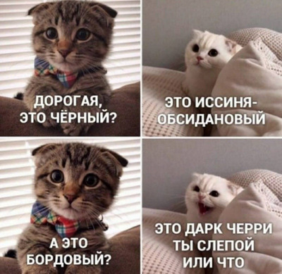 Комментарий с изображением на AdMe.Media