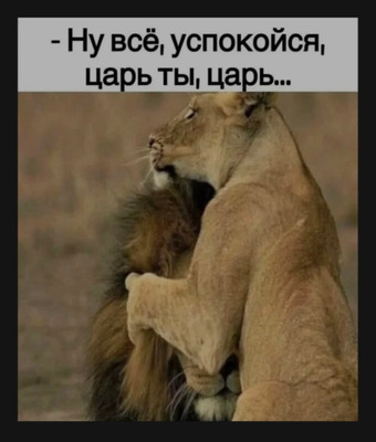 Комментарий с изображением на AdMe.Media