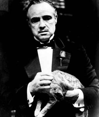 Комментарий с изображением на AdMe.Media