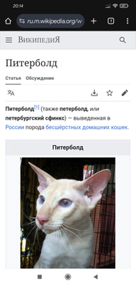 Комментарий с изображением на AdMe.Media
