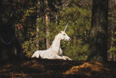 Комментарий с изображением на AdMe.Media