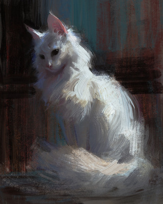 Комментарий с изображением на AdMe.Media