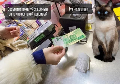 Комментарий с изображением на AdMe.Media