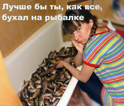 Комментарий с изображением на AdMe.Media