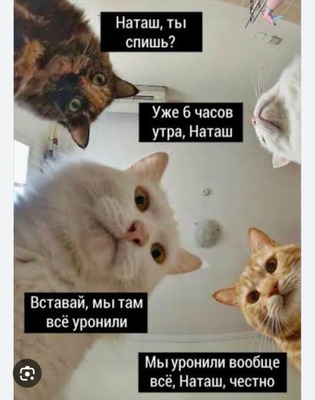 Комментарий с изображением на AdMe.Media