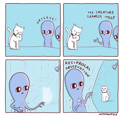 Комментарий с изображением на AdMe.Media