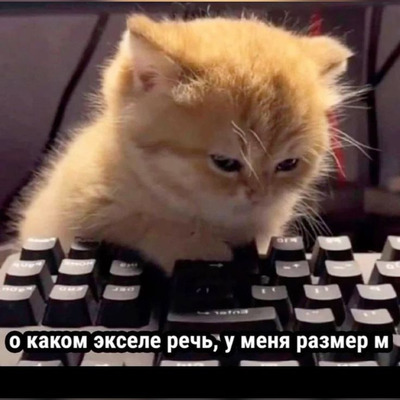 Комментарий с изображением на AdMe.Media